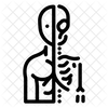 Anatomy Ai icon
