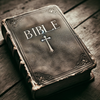 Bible Wizz 1.0 icon