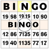 Bingo Card Generator icon
