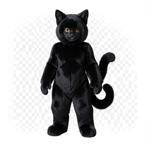 Black Cat Costume