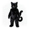 Black Cat Costume icon