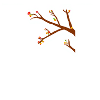 Book Cover Design (5.5 X 8.5) Inch