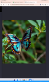 butterfly wallpapers icon