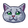 Cat pictures very chunky icon