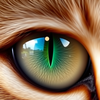 cats eye vs human eyes icon