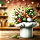 Chef's Assistant icon