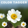 Color Tagger icon