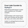 Cover Letter Generator by StylingCV icon