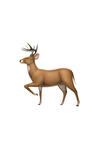 DeerFlow icon