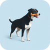 Dog generator icon
