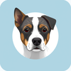 Dog name generator icon