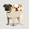 Dogs and Cats icon