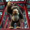 Donkey Kong – Live-Action Cinematic Recreation icon