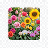DSLR FLOWER GENERATOR icon