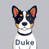 Duke icon