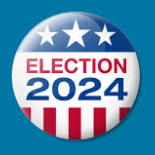 Election 2024 Simulator icon