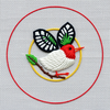 Embroidery Designs icon