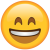 Emoji Story icon