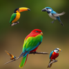 exotic birds wallp icon