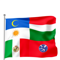 Flag Fusion Generator Photo