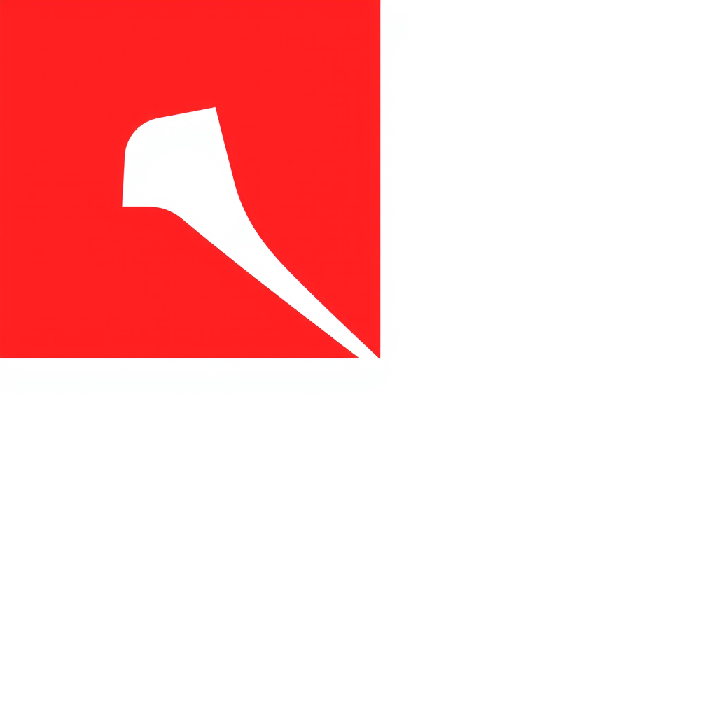 Flag Occupied by Brunei Photo