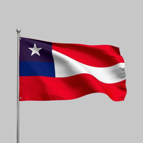 Flag Occupied by Chile Photo