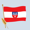 Flag Occupied by Czechia Photo icon