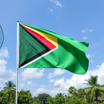 Flag Occupied by Guyana Photo