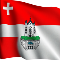 Flag Occupied by Luxembourg Photo