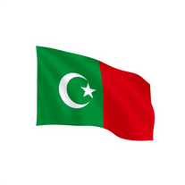 Flag Occupied by Mauritania Photo