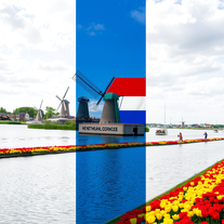 Flag Occupied by Netherlands Photo