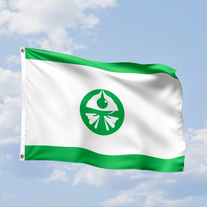 Flag Occupied by Niger Photo