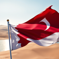 Flag Occupied by Qatar Photo