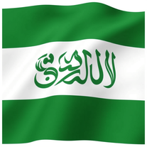 Flag Occupied by Saudi Arabia Photo