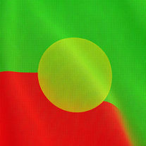 Flag Occupied by Togo Photo
