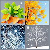 four seasons icon