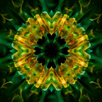 Free Midjourney Image Generator Abstract Art