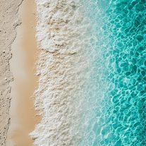 Gluten Meal Generator