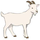 GOATed icon