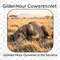 Golden Hour Covenant in the Savanna icon