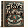 Gray's Anatomy GPT icon