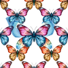 Butterfly design icon