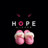 Hope ladies Slippers icon