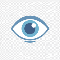 human eye