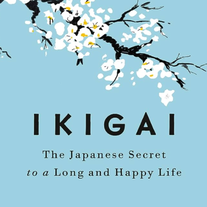 Ikigai GPT