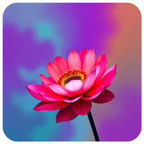 Image generator
