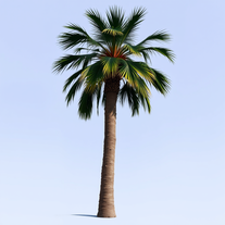 Image to thin line illustration cad outline