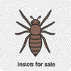 Insects for sale icon