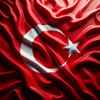 Instant Native Translator (English-Turkish) icon