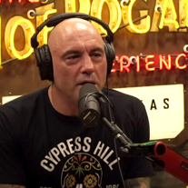 Joe Rogan GPT